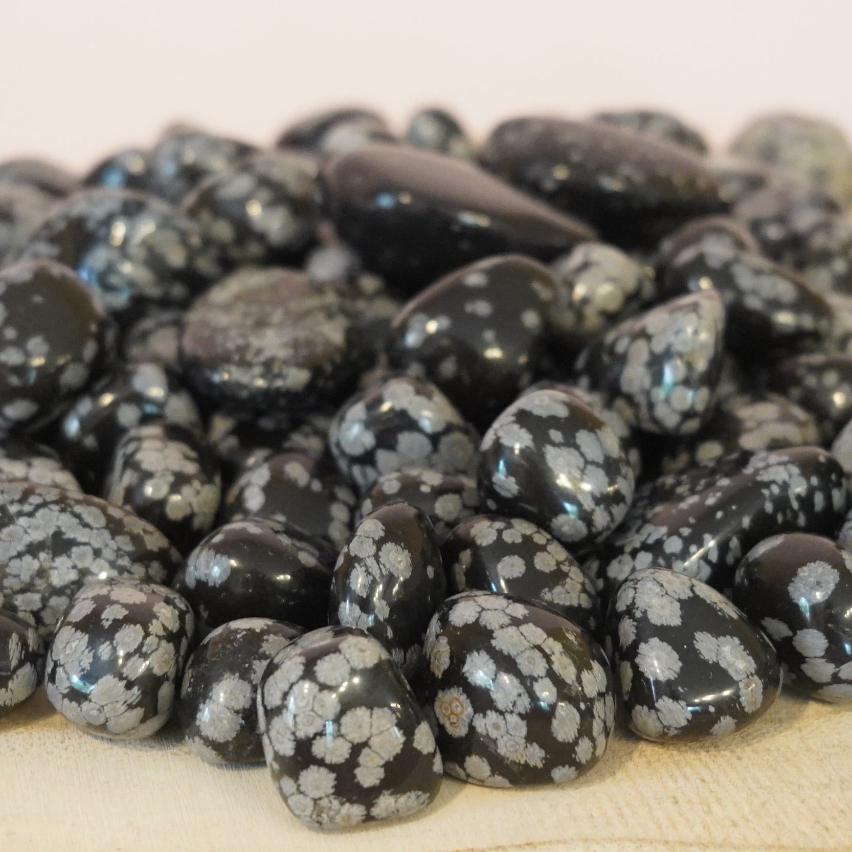 Obsidienne Mouchetée