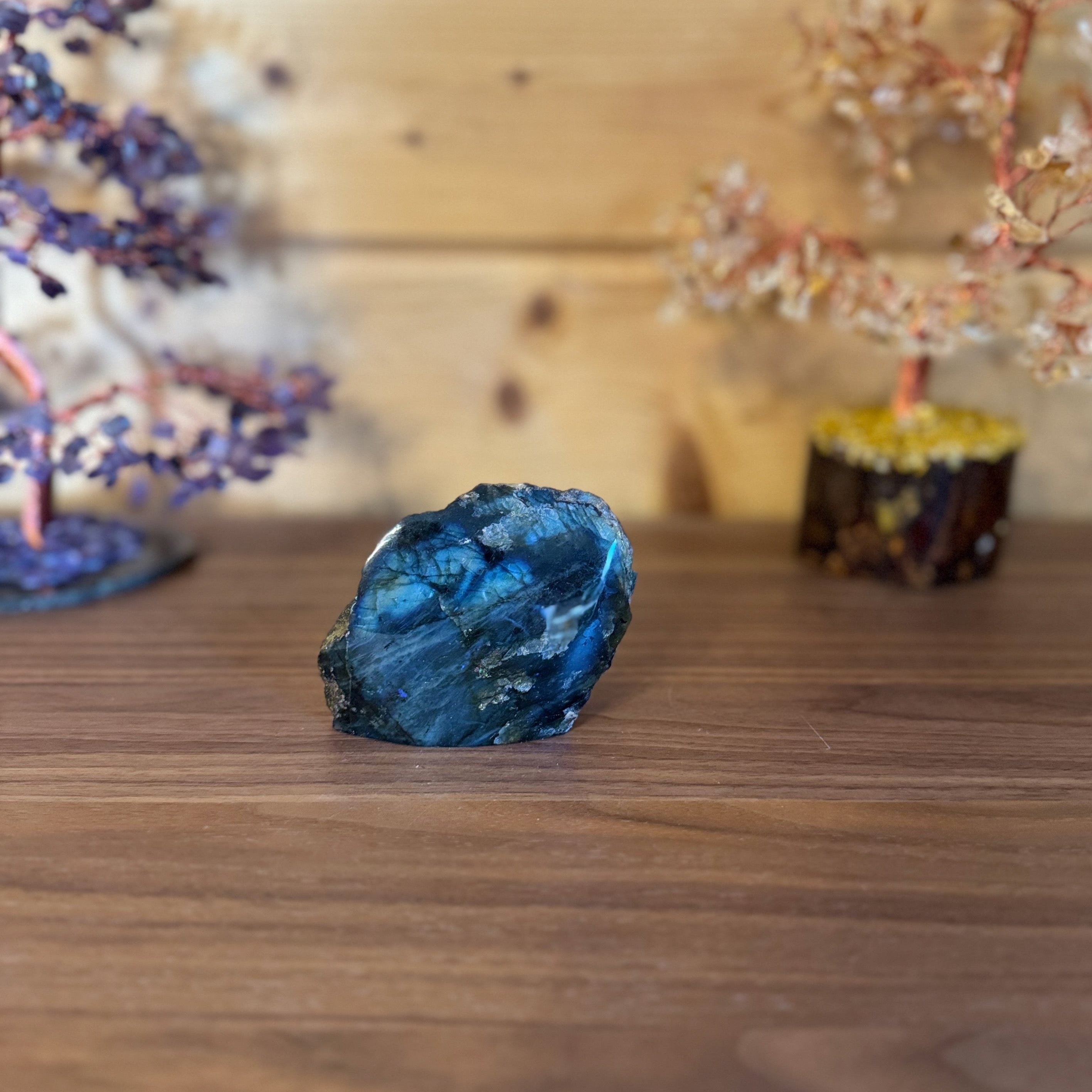 Labradorite bleue 1 face polie n°43